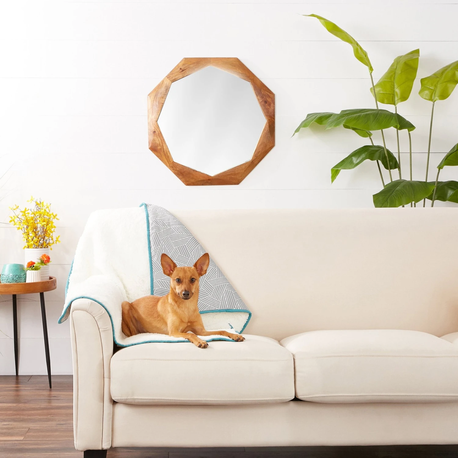 Frisco Sherpa Dog & Cat Blanket