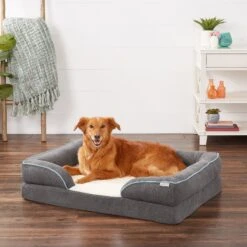 Frisco Plush Orthopedic Front Bolster Cat & Dog Bed W/Removable Cover