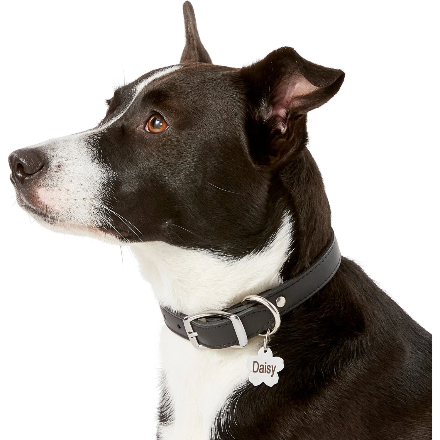 Frisco Stainless Steel Personalized Dog & Cat ID Tag, Flower - Image 6