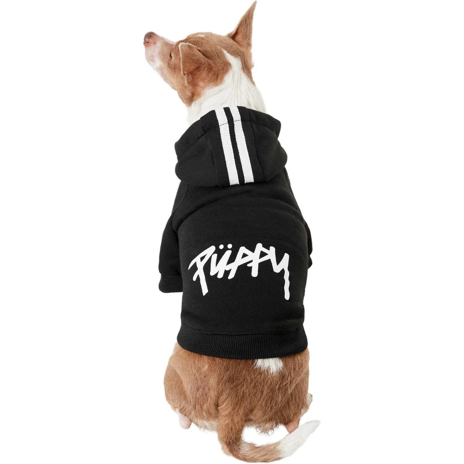 Frisco Püppy Dog Athletic Hoodie - Image 3