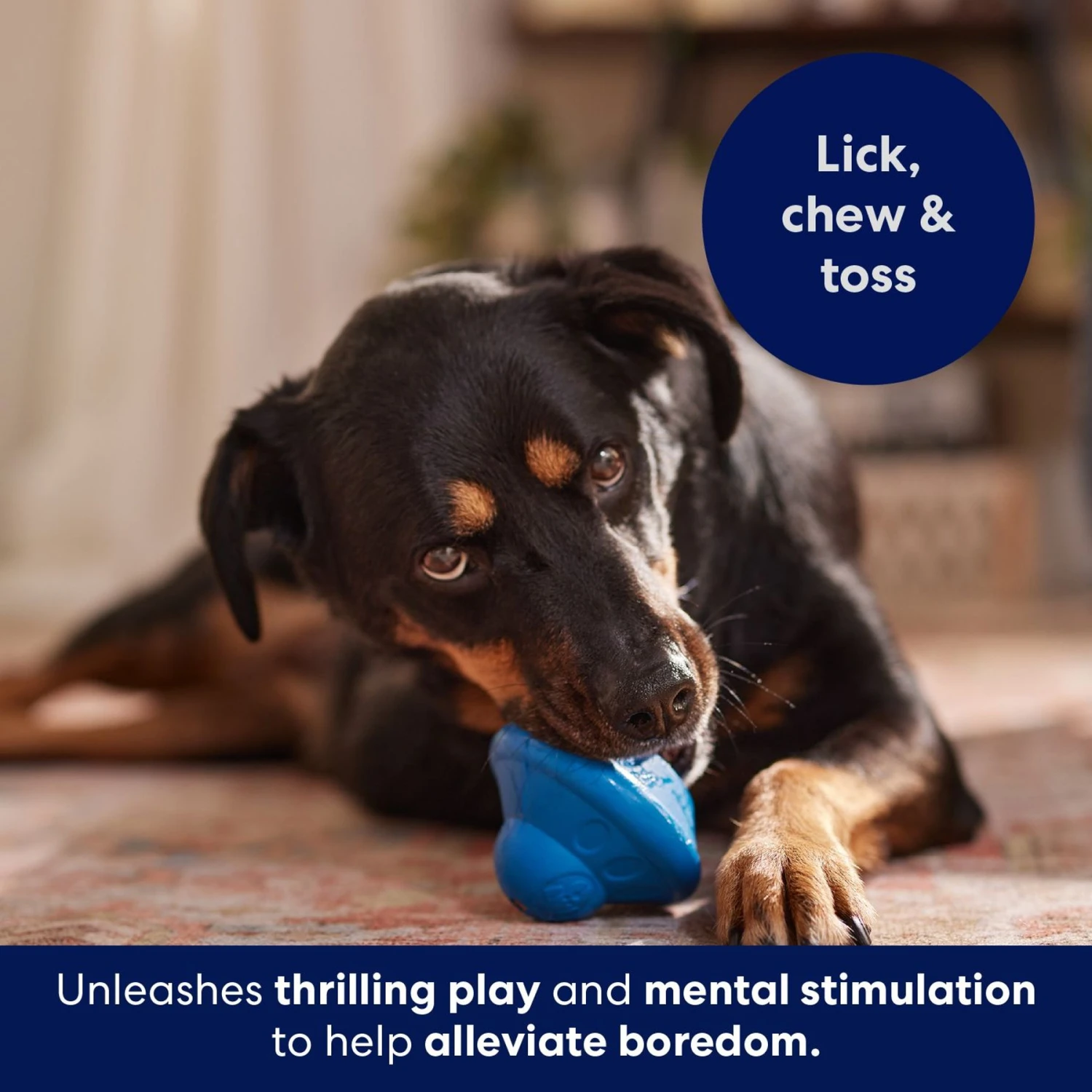 Frisco Flying Saucer Rubber Treat Dispenser Dog Toy - Image 6