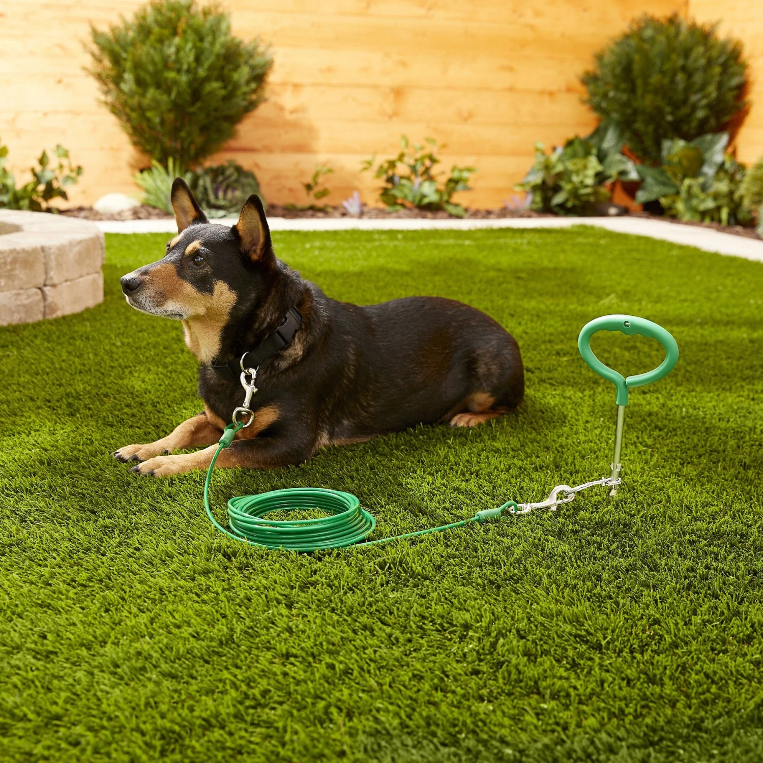 Frisco Tie Out Cable, Large - Image 2