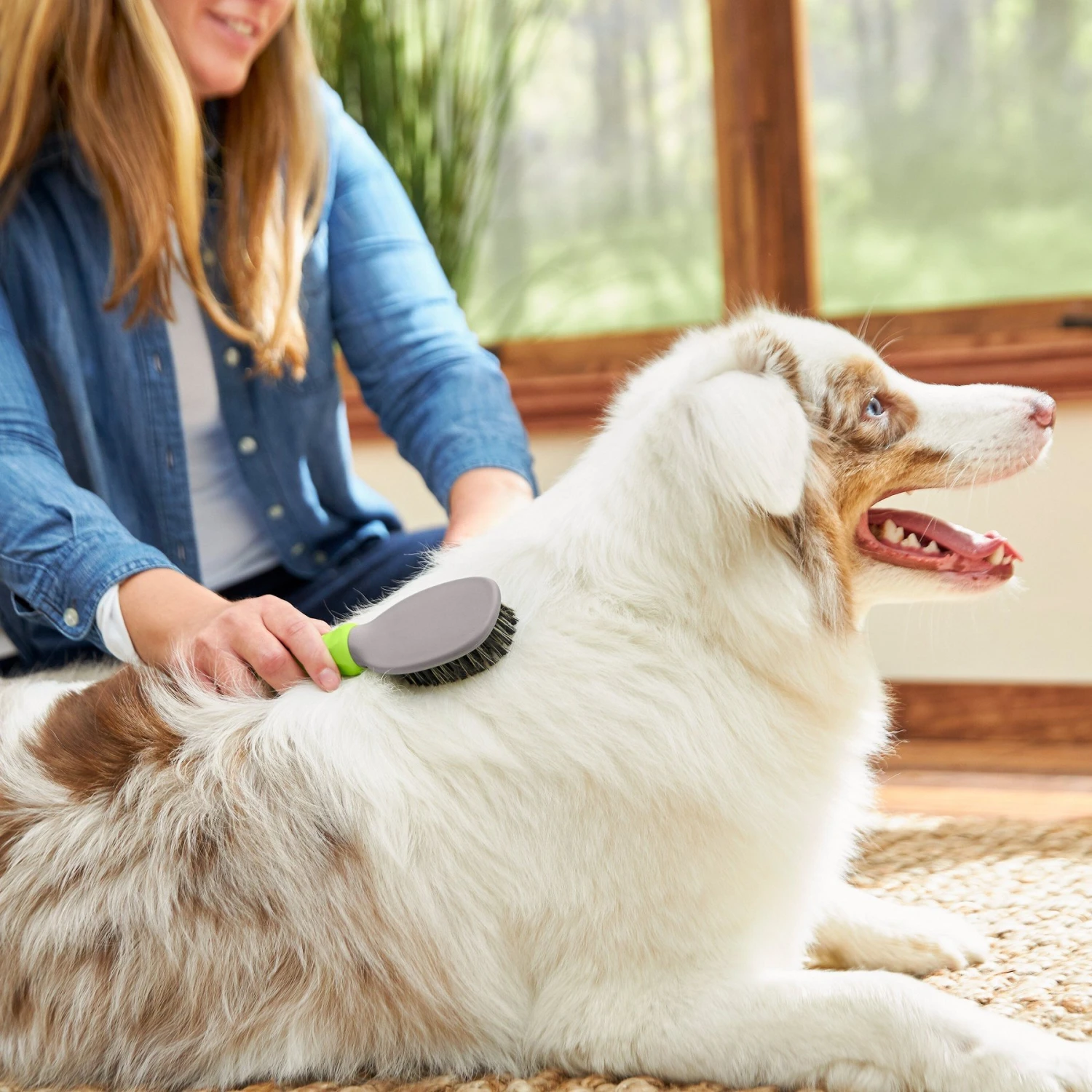 Frisco Cat & Dog Bristle Brush - Image 3