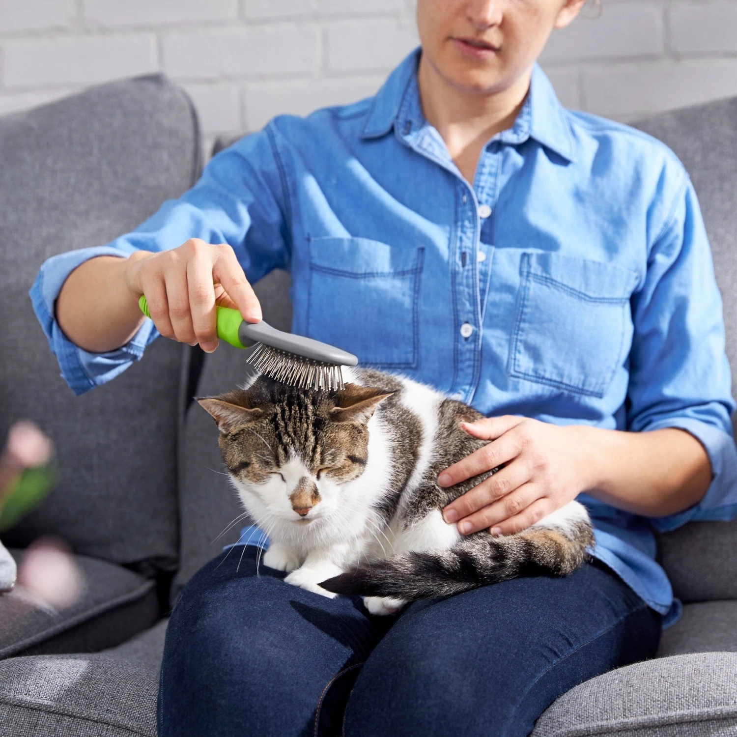 Frisco Cat & Dog Pin Brush - Image 5