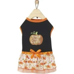 Frisco Pumpkin Patch Cutie Dog & Cat Dress