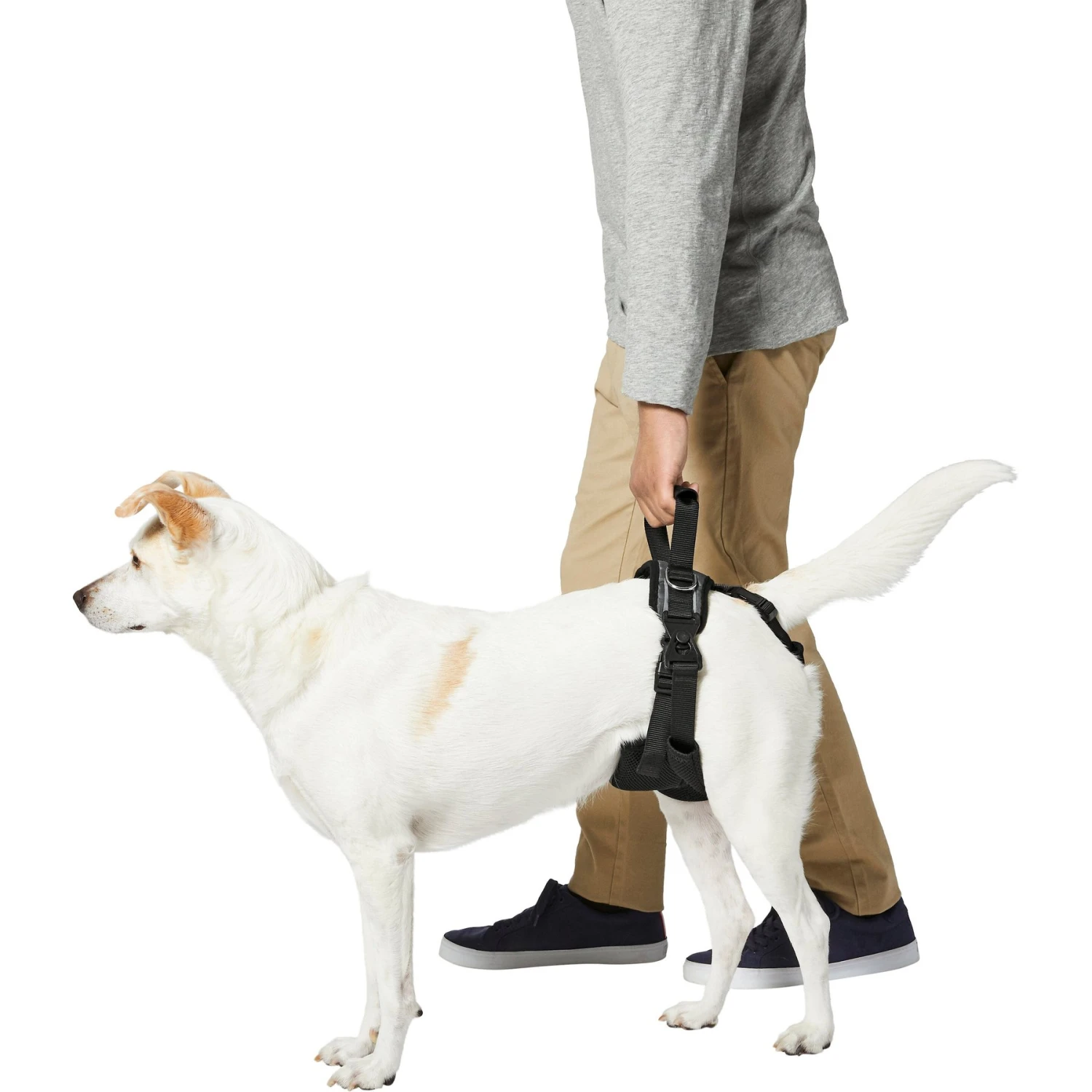 Frisco Rear Lift Handicapped Support Dog Harness - Image 4