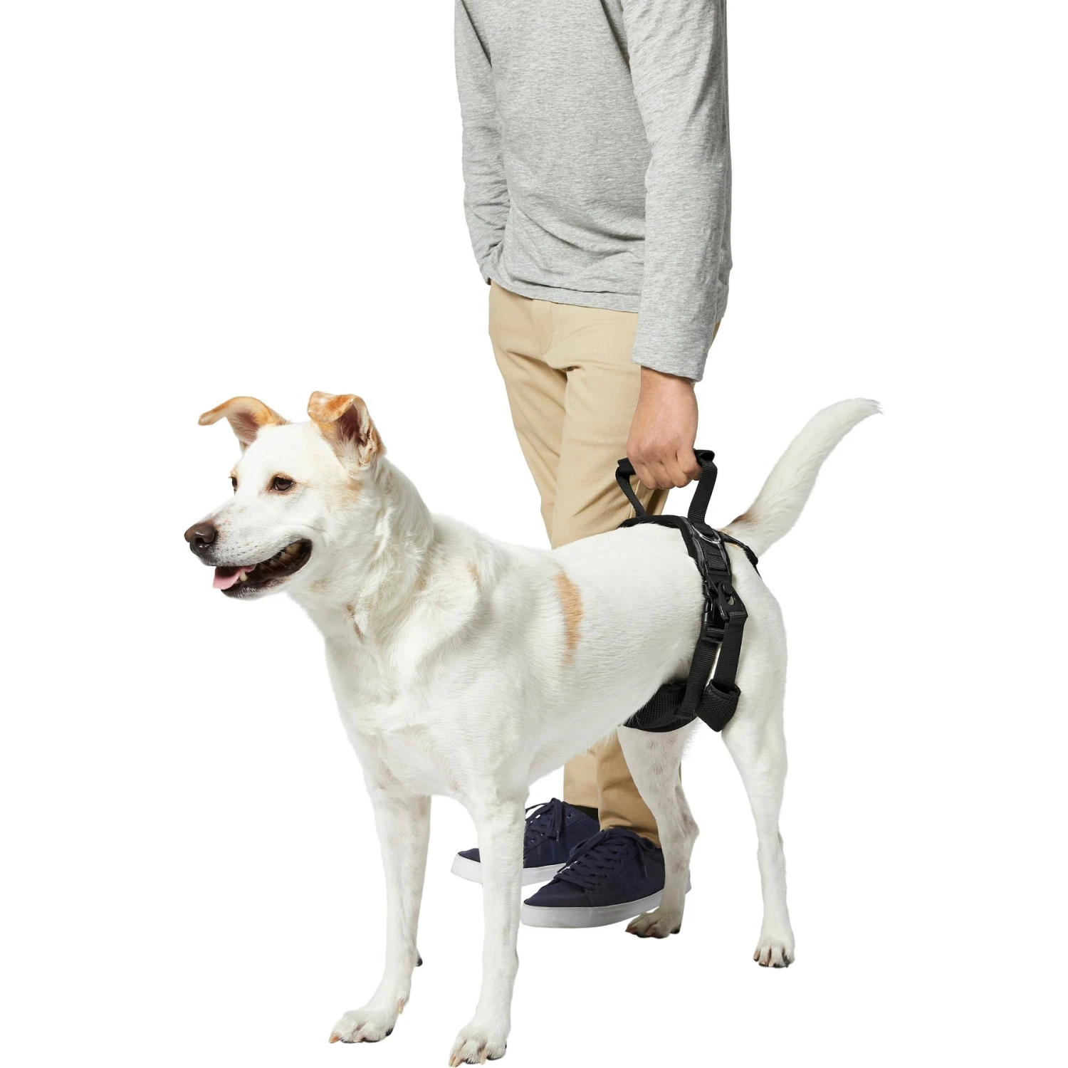 Frisco Rear Lift Handicapped Support Dog Harness - Image 5