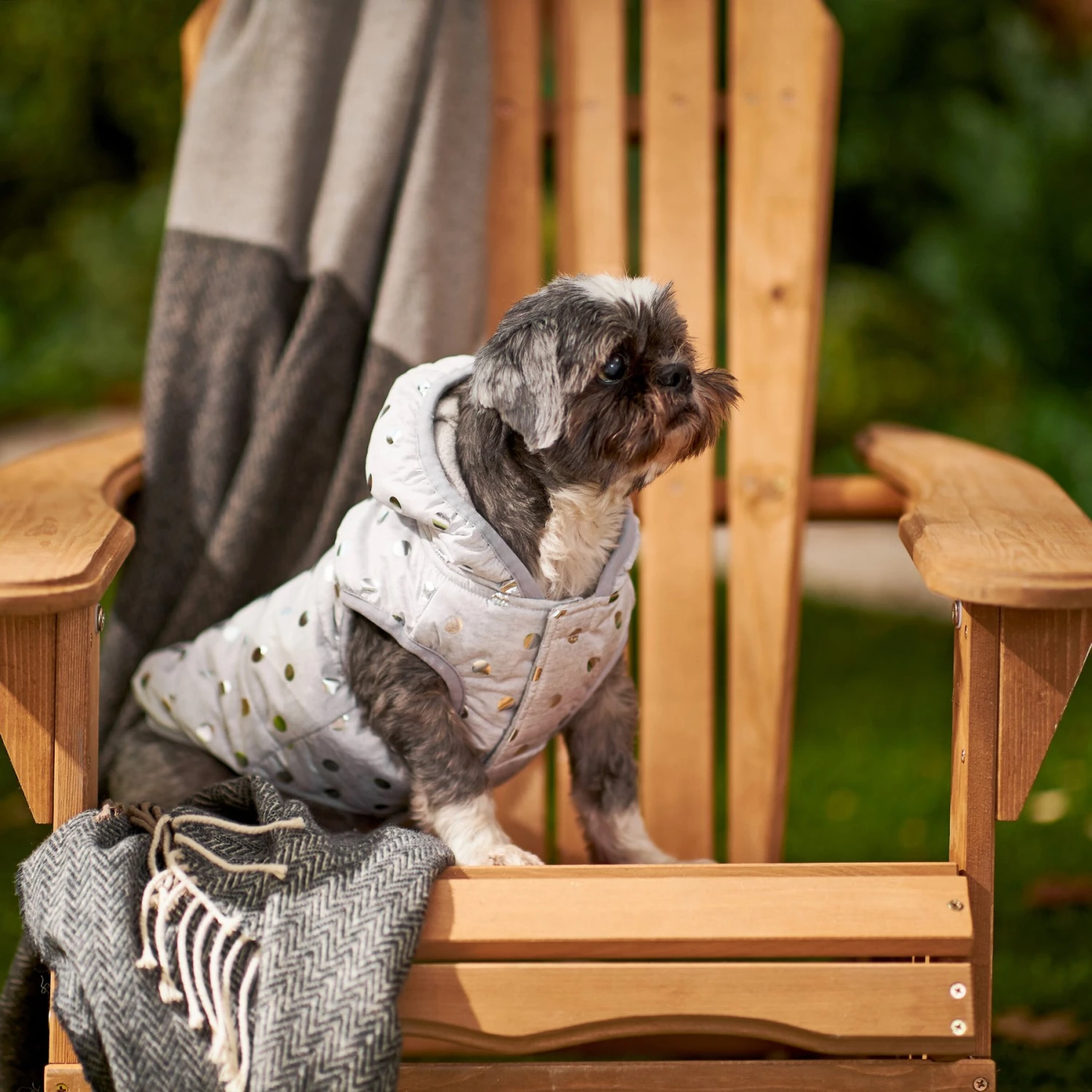 Frisco Mediumweight Silver Polka Dotted Insulated Dog & Cat Coat - Image 7