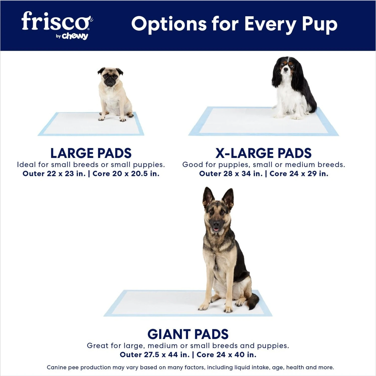 Frisco Extra Large Non-Skid Ultra Premium Dog Training & Potty Pads - Image 4
