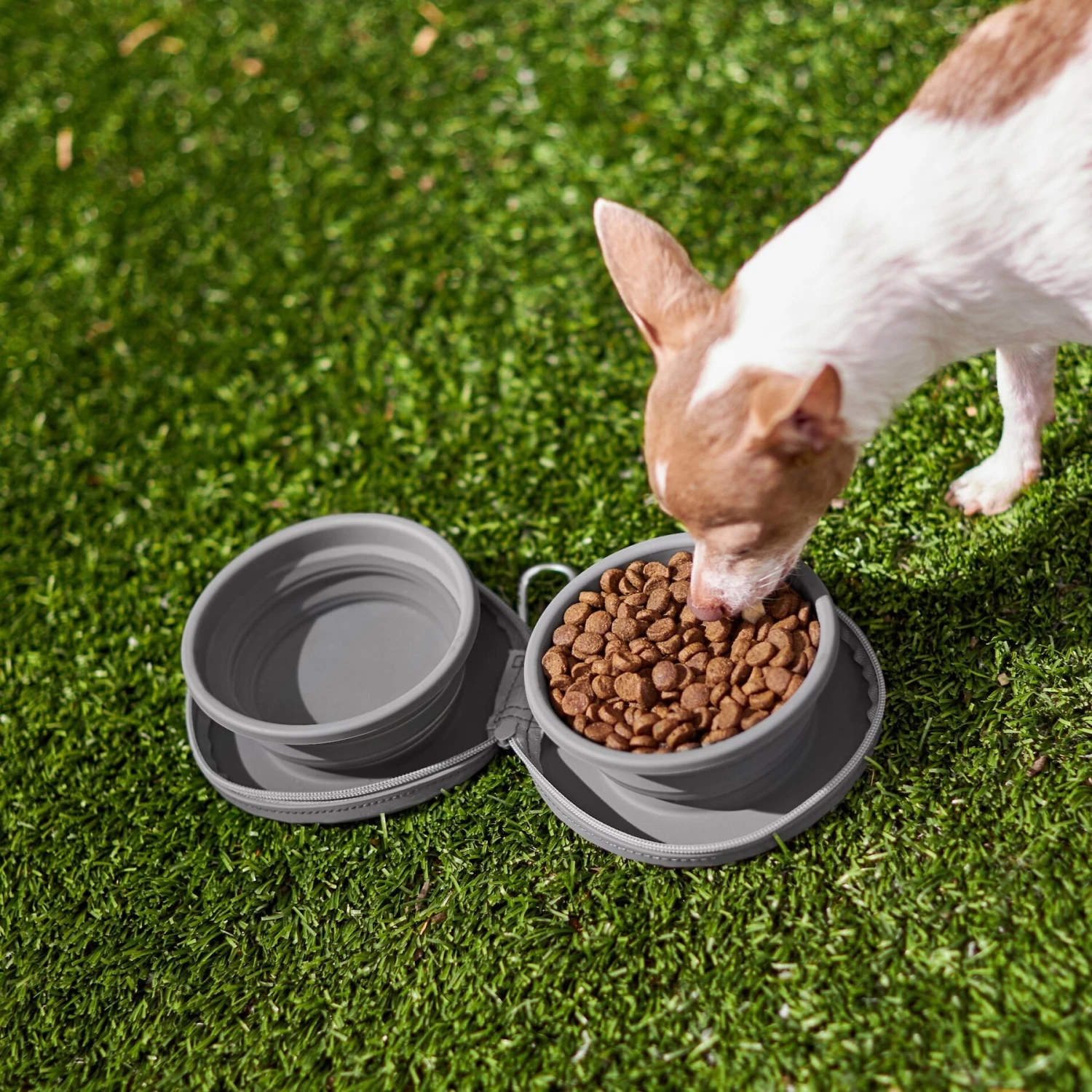 Frisco Travel Collapsible Silicone Dog & Cat Bowl - Image 7