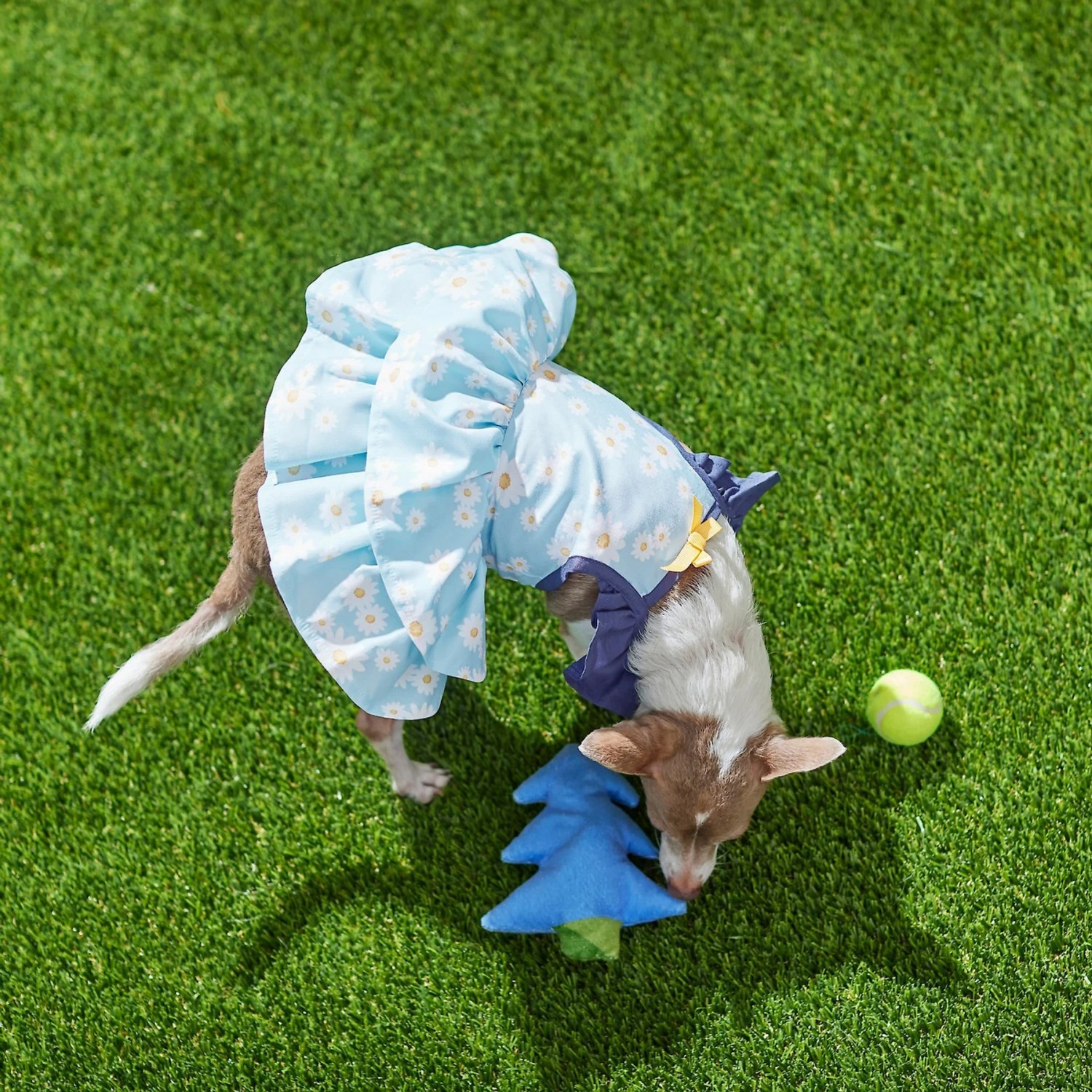 Frisco Blue Daisies Dog & Cat Dress - Image 5