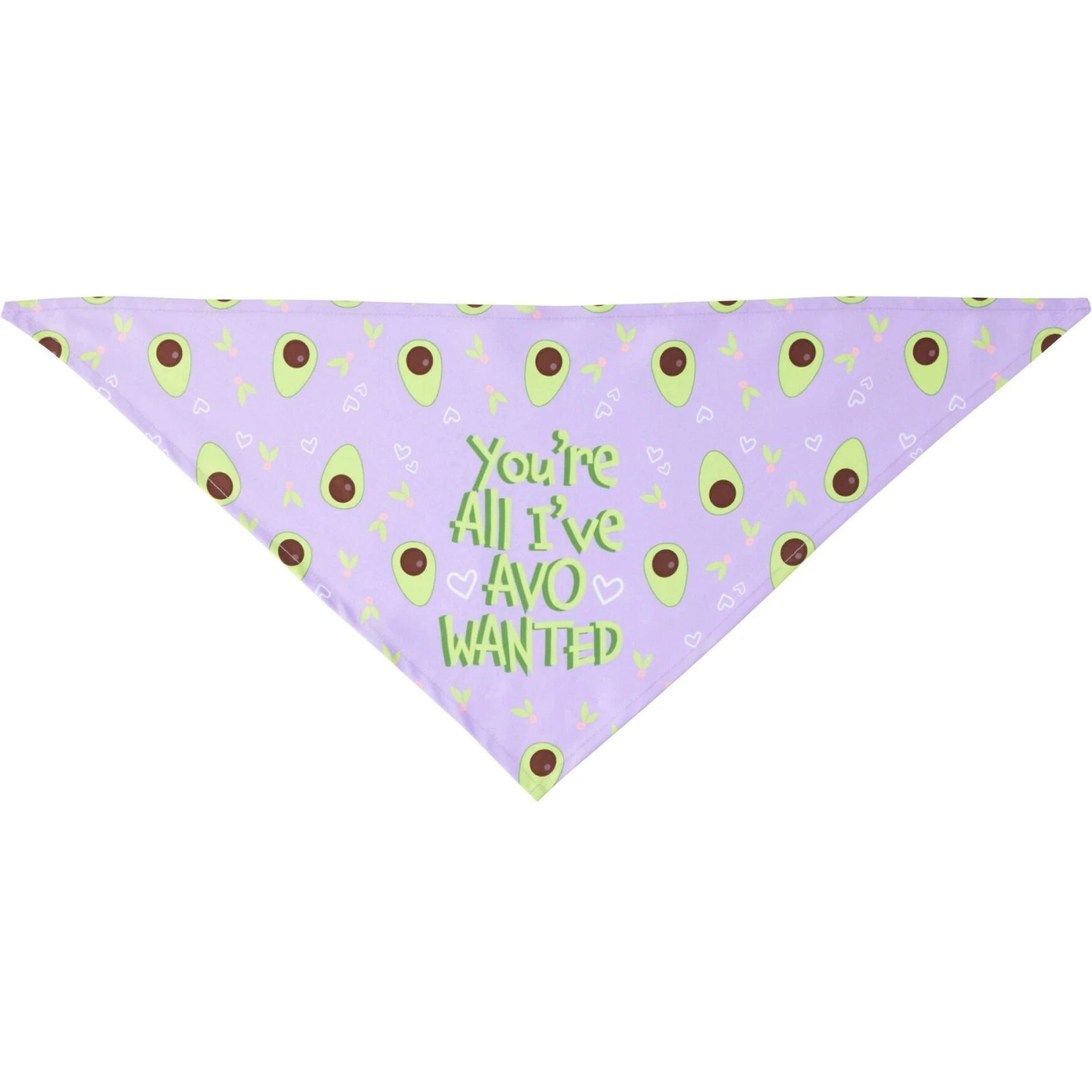 Frisco You're All I've Avo Wanted Dog & Cat Bandana - Image 4