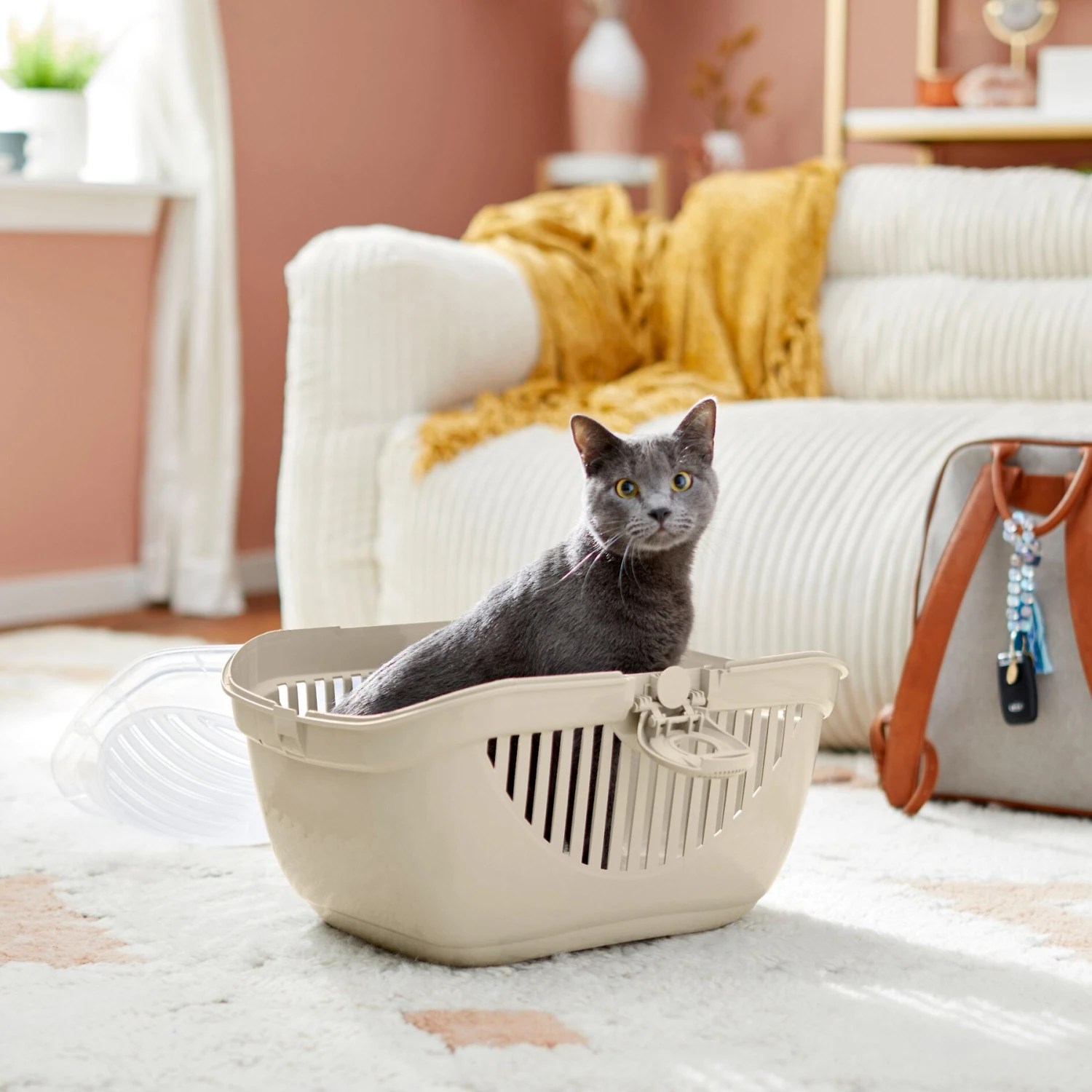 Frisco Top Loading Cat Kennel