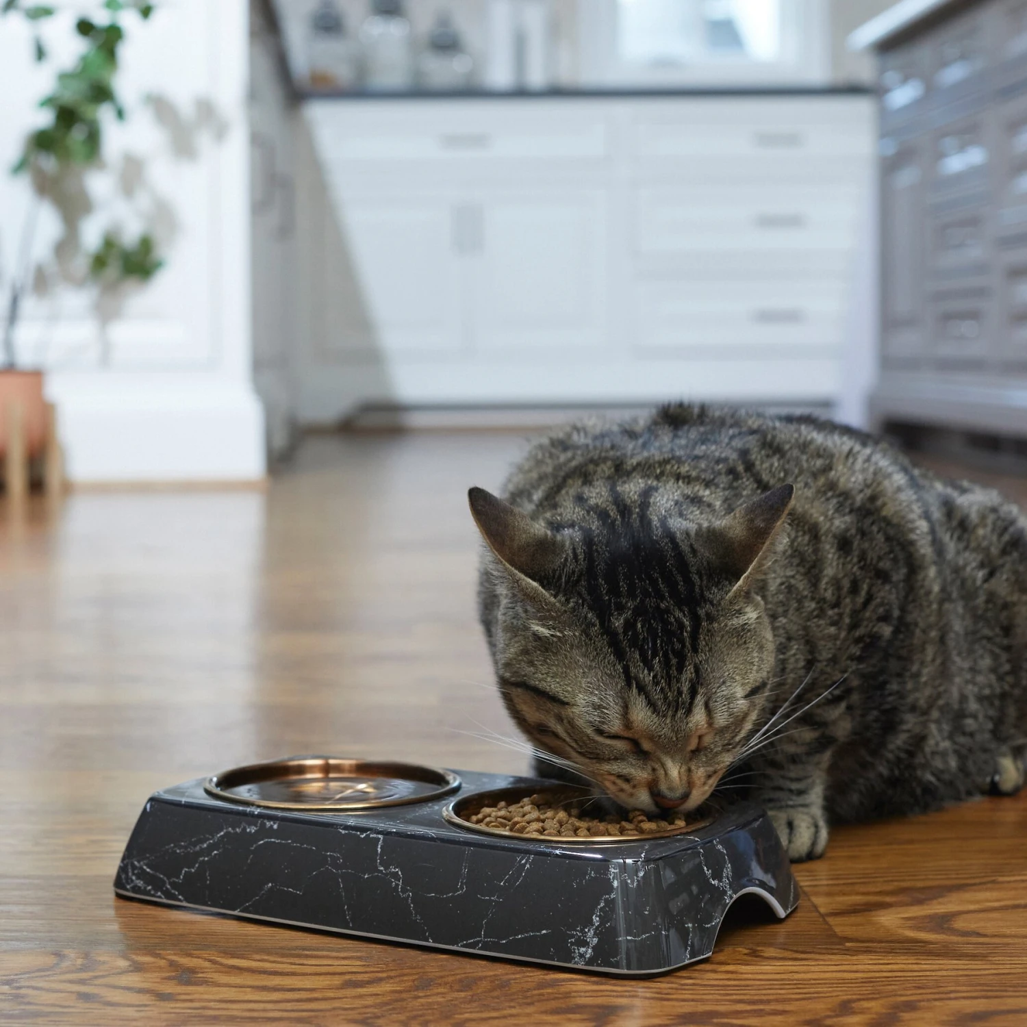 Frisco Copper Stainless Steel Double Dog & Cat Bowls With Black Marble Stand - Image 3