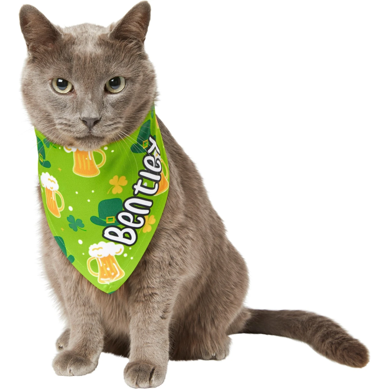 Frisco Green Ale Personalized Dog & Cat Bandana - Image 8