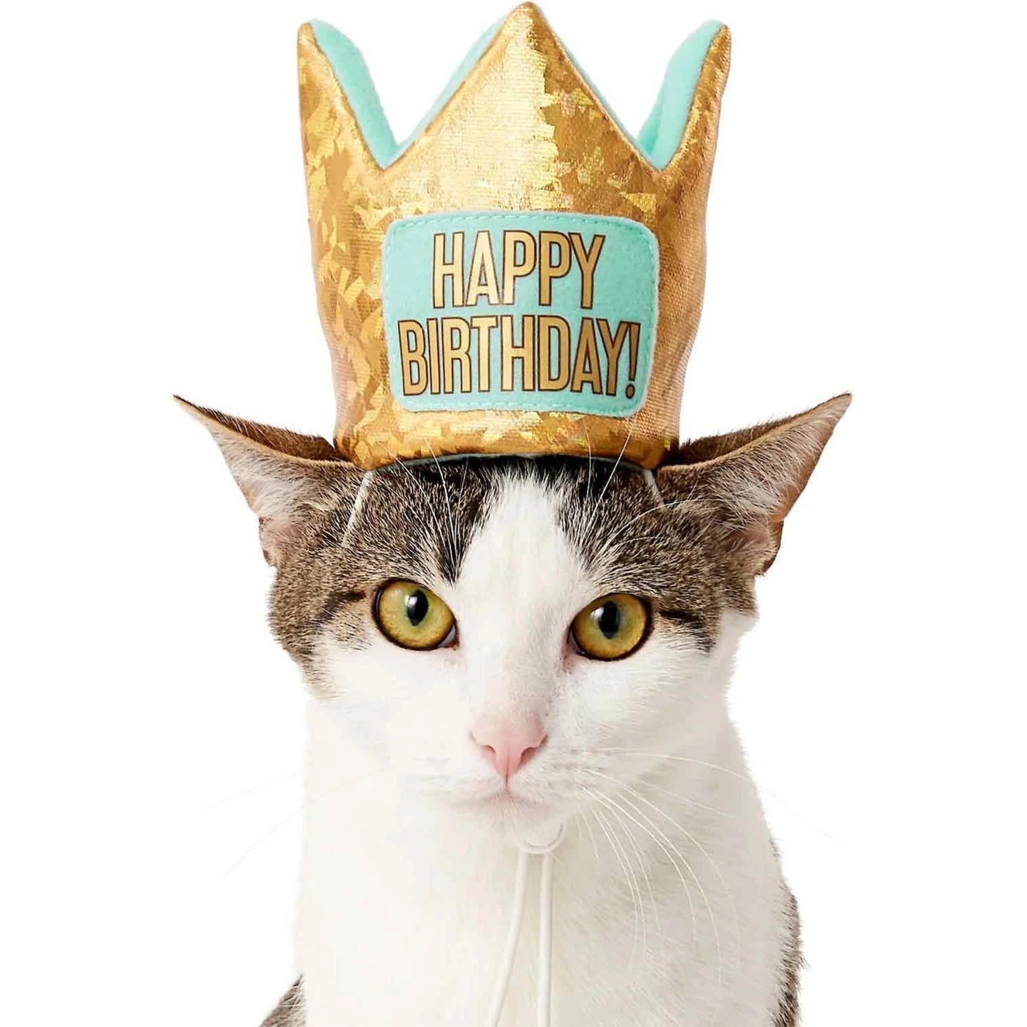 Frisco Happy Birthday Dog & Cat Crown & Frisco Dog & Cat Birthday Bandana - Image 3