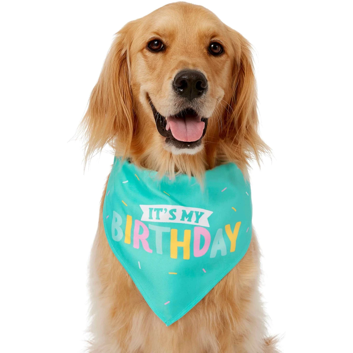 Frisco Happy Birthday Dog & Cat Crown & Frisco Dog & Cat Birthday Bandana - Image 4