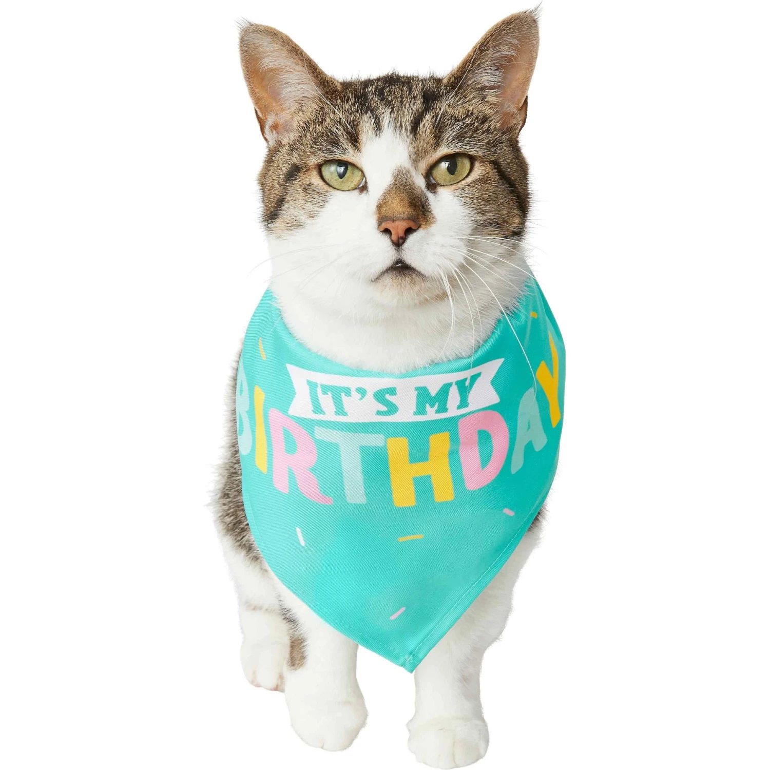 Frisco Happy Birthday Dog & Cat Crown & Frisco Dog & Cat Birthday Bandana - Image 5