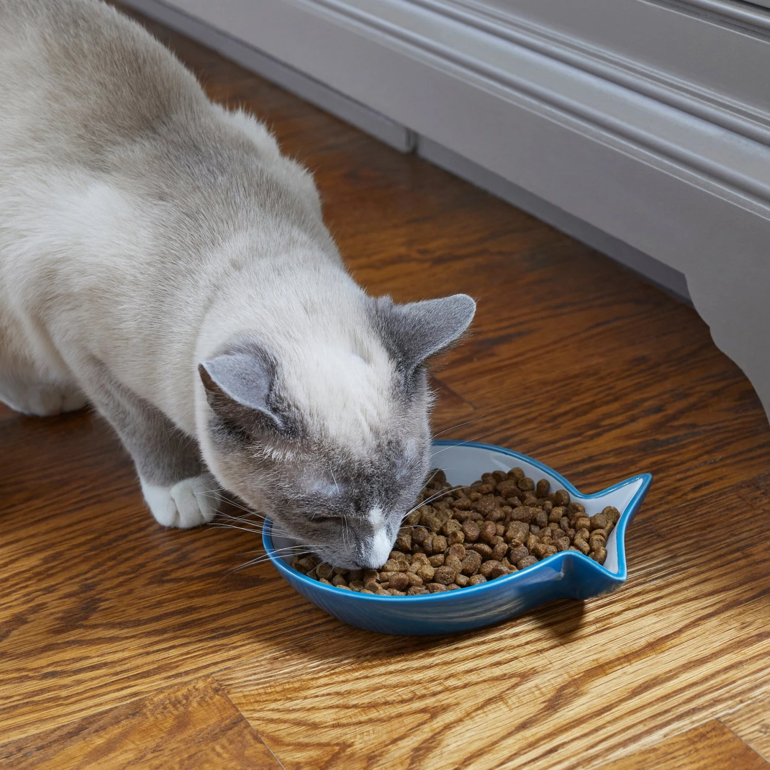 Frisco Fish Shaped Non-skid Ceramic Cat Dish - Image 4