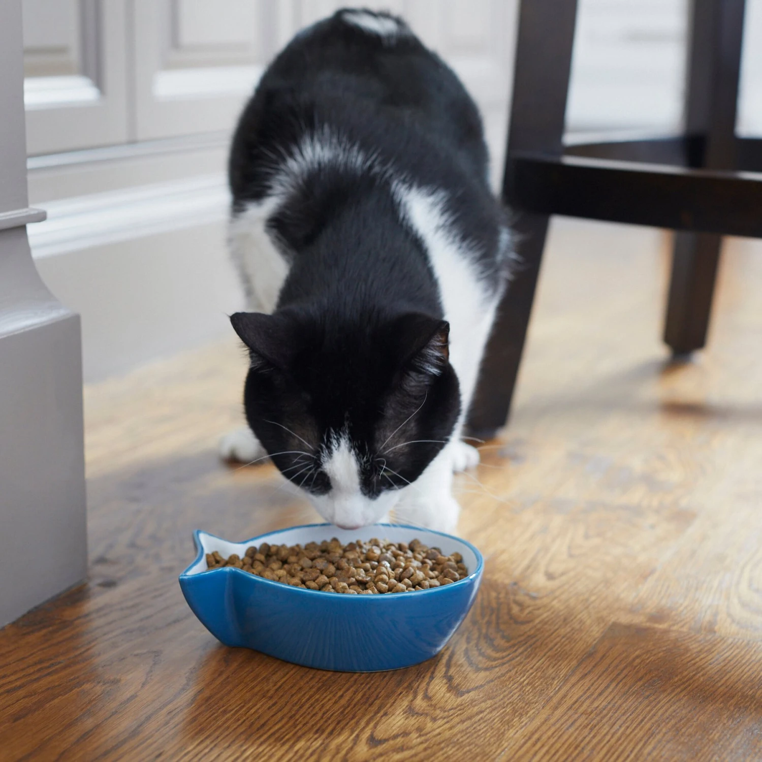 Frisco Fish Shaped Non-skid Ceramic Cat Bowl - Image 6