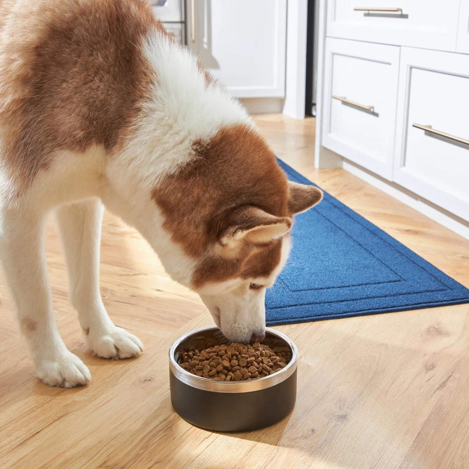 Frisco Insulated Two-Toned Non-Skid Stainless Steel Dog & Cat Bowl - Image 7