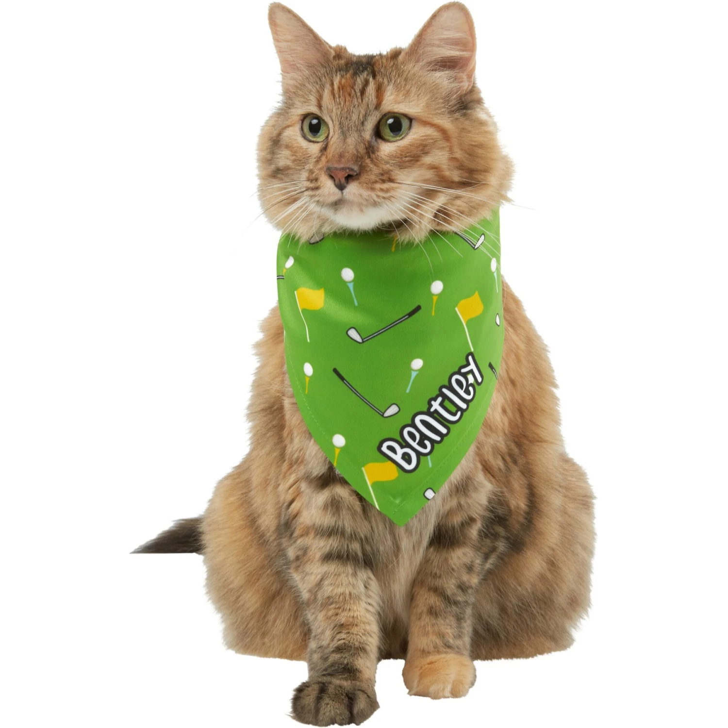 Frisco Golf Personalized Dog & Cat Bandana - Image 8