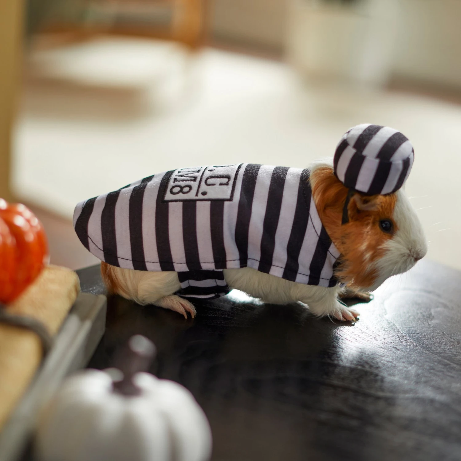 Frisco Prisoner Guinea Pig Costume, One Size - Image 6