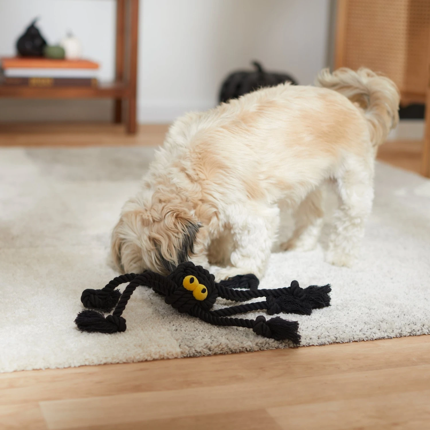 Frisco Halloween Spider Rope Dog Toy - Image 3