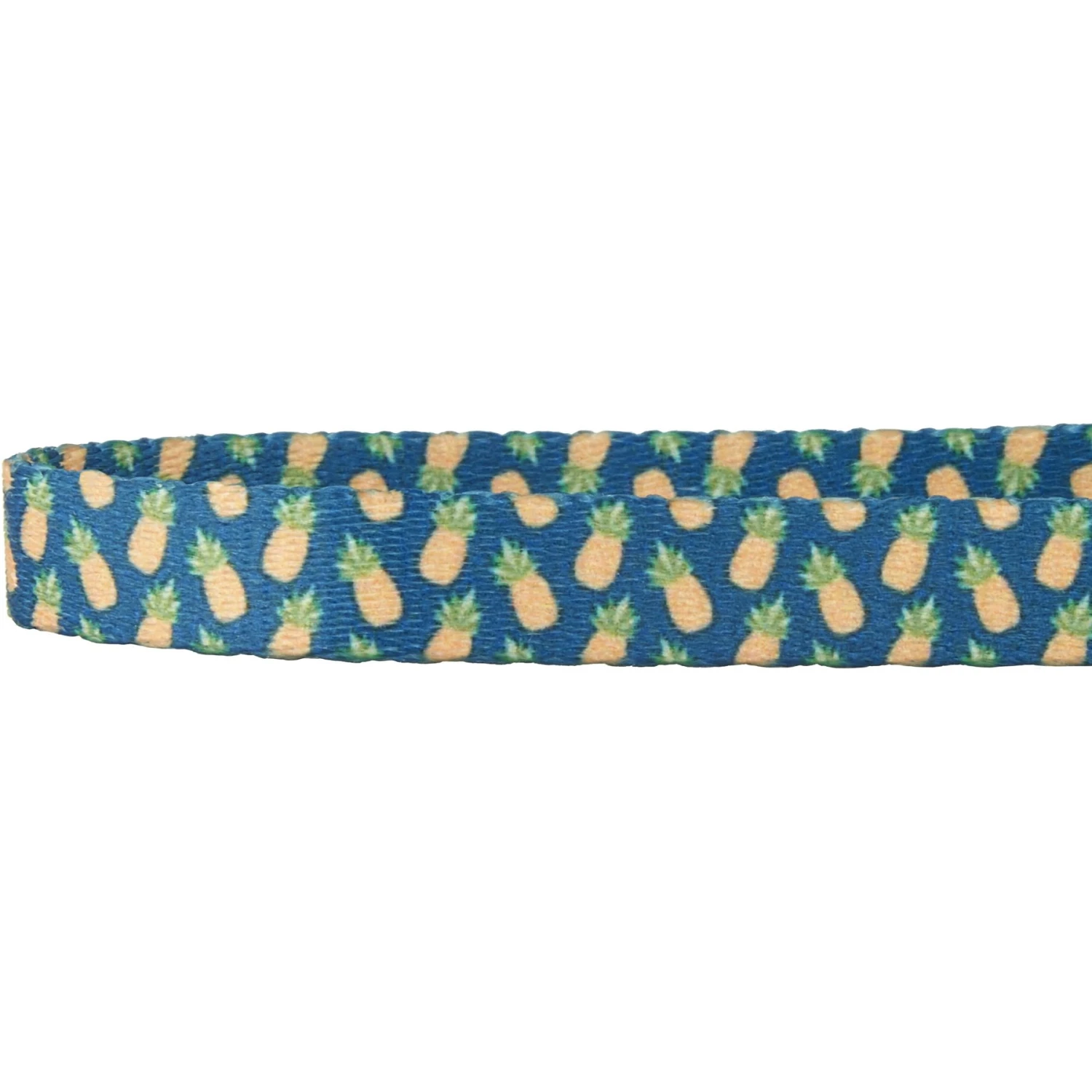 Frisco Pineapple Polyester Personalized Breakaway Cat Collar With Bell - Image 4