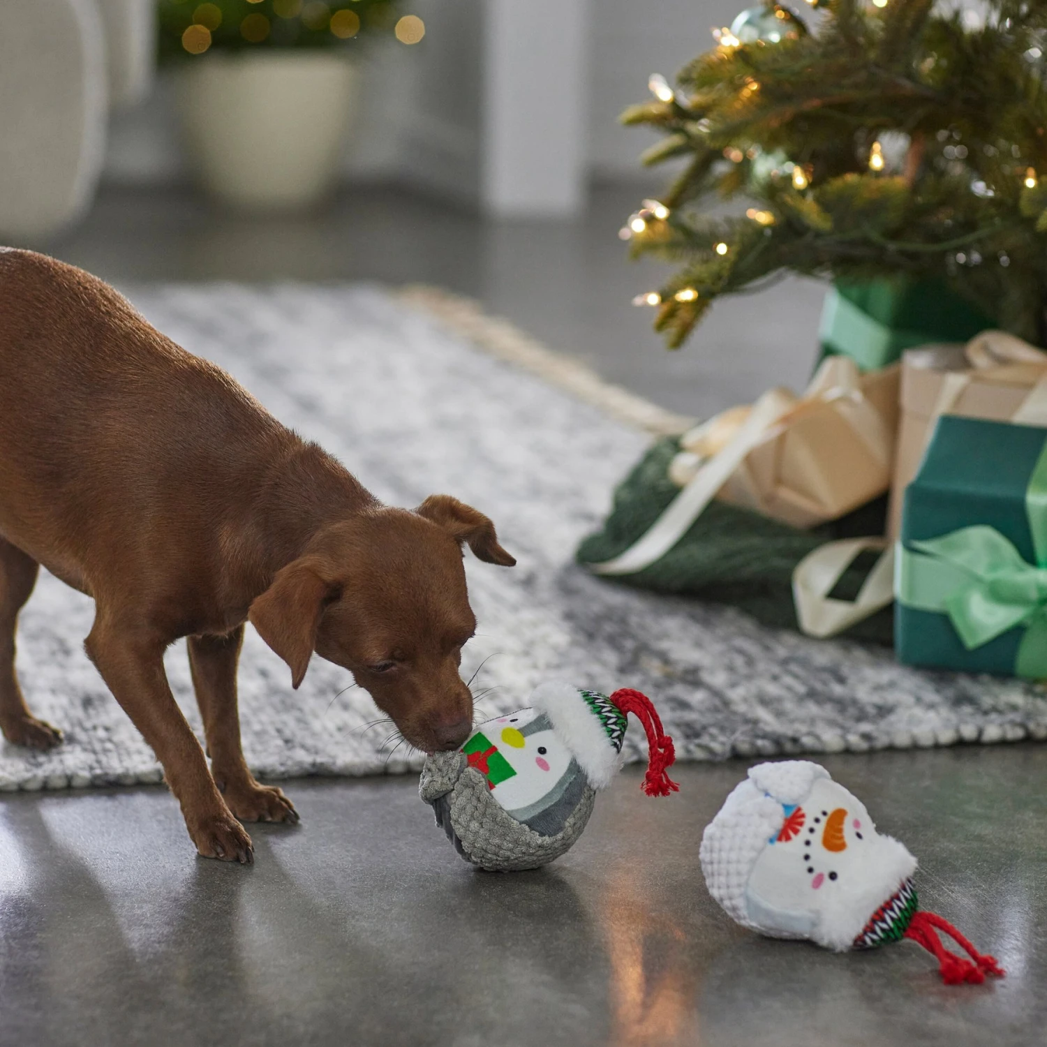 Frisco Holiday Penguin & Snowman Plush Squeaky Dog Toy - Image 3