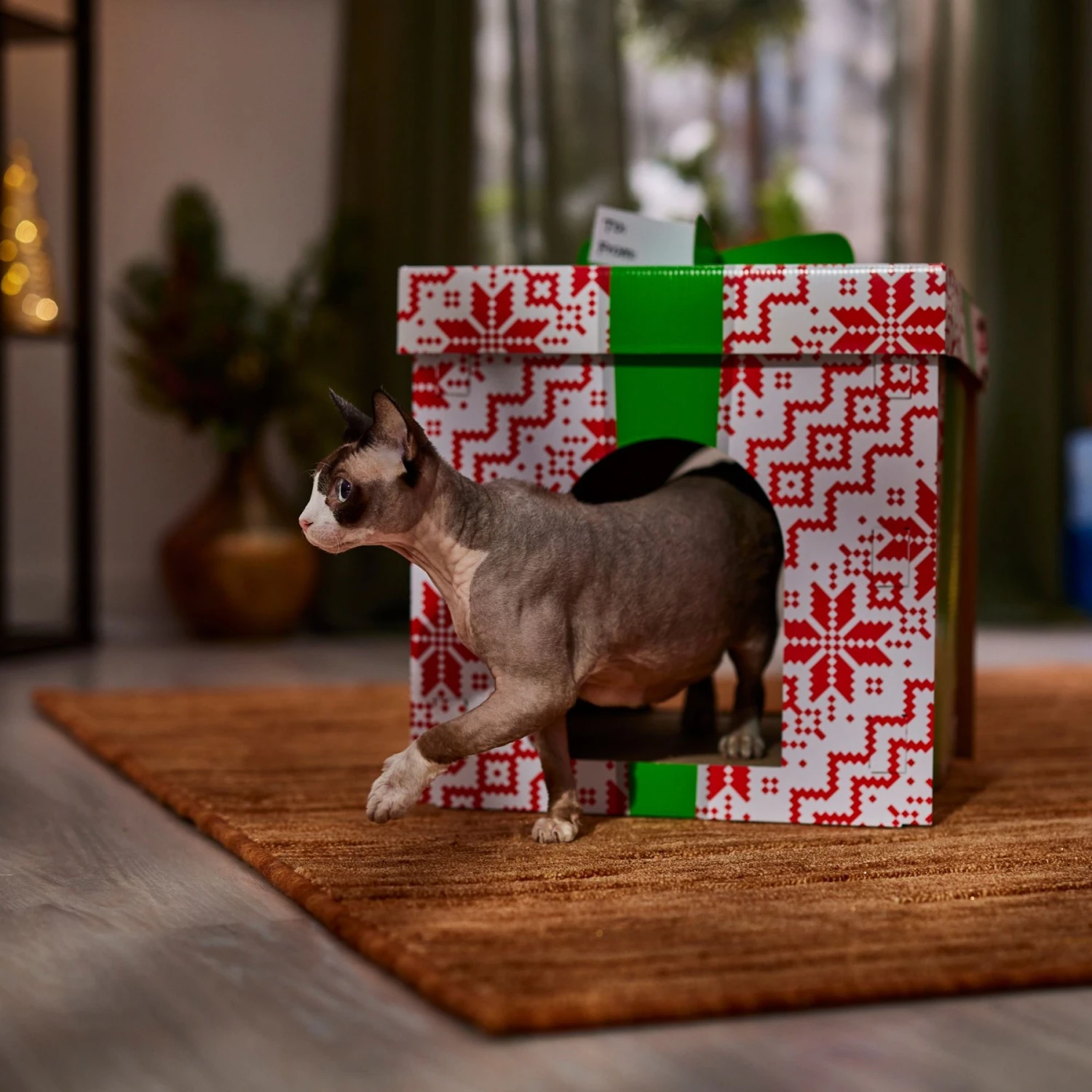 Frisco Holiday Gift Box Cardboard Cat House - Image 5
