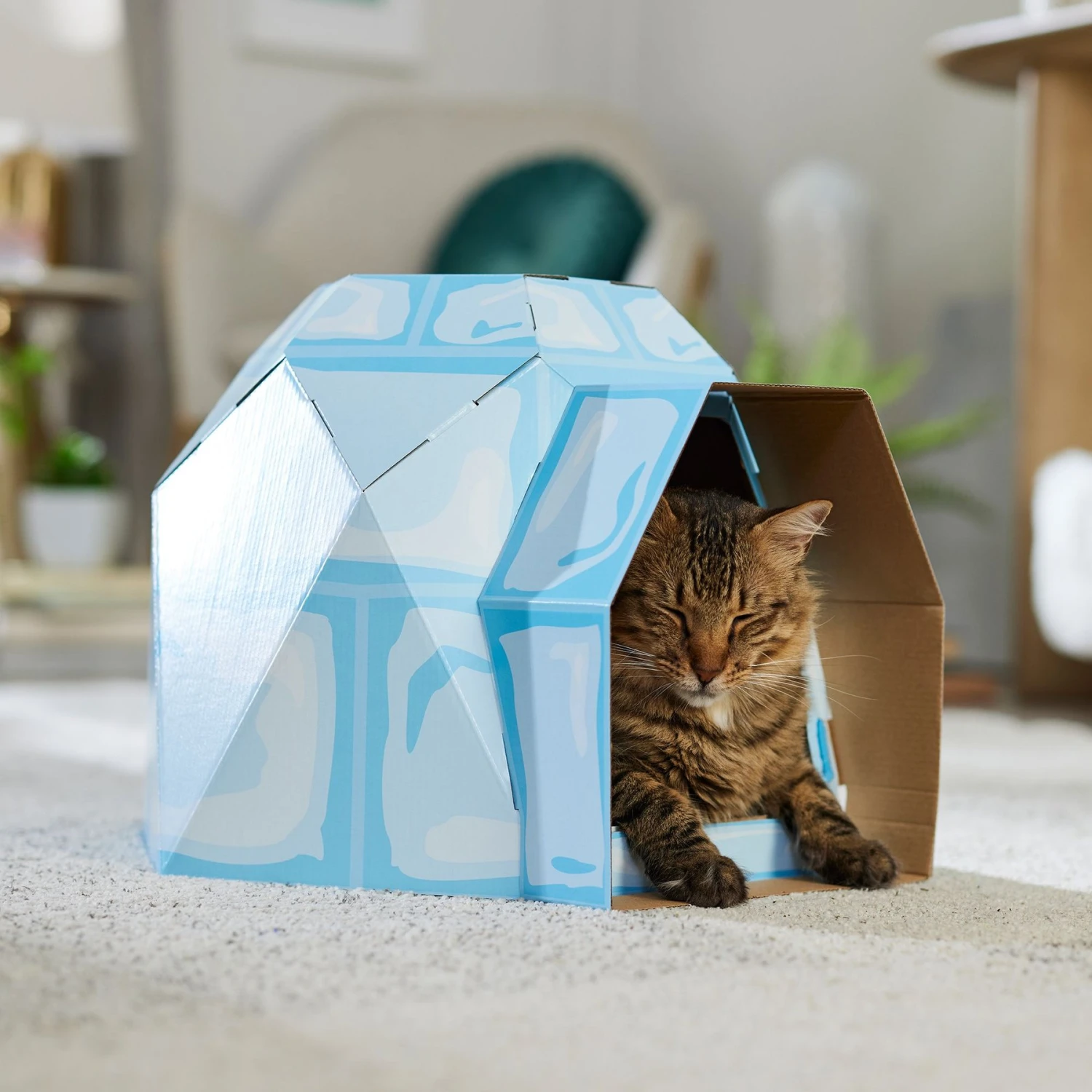 Frisco Igloo Cardboard Cat House - Image 5