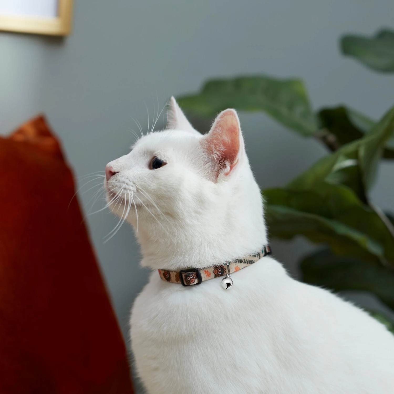Frisco Thanksgiving Turkey Cat Collar - Image 3