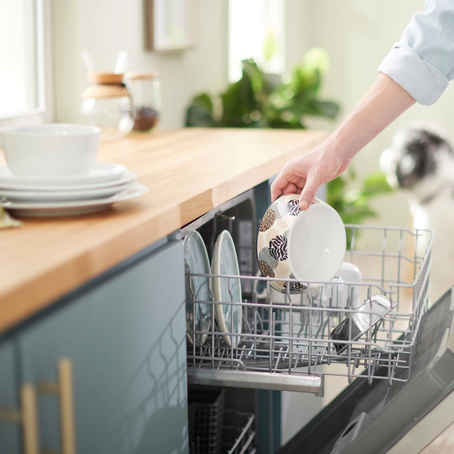 Frisco Animal Design Stainless Steel Dog & Cat Bowl - Image 8