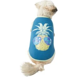 Frisco Pineapple Guy Dog & Cat T-Shirt