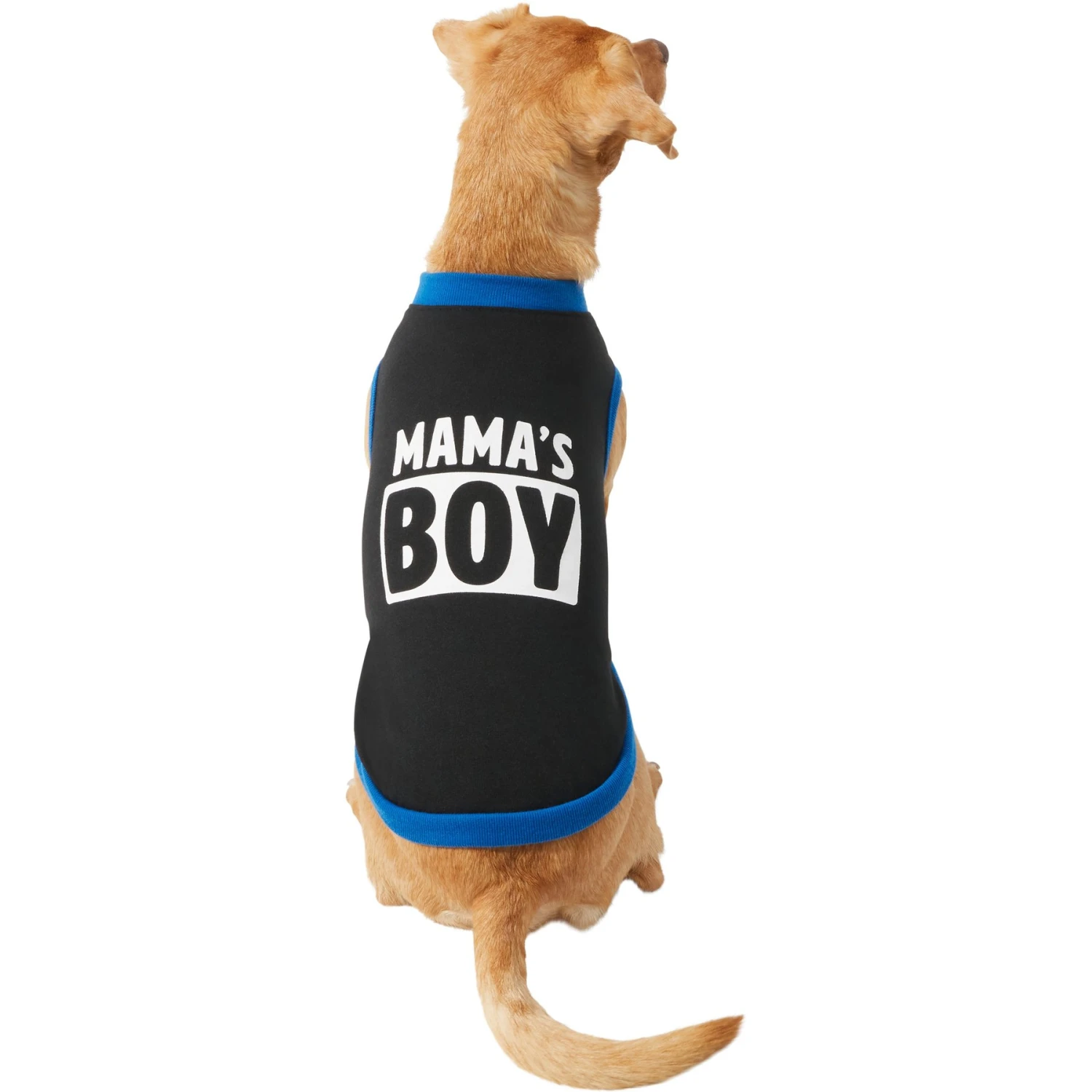 Frisco Mama's Boy Dog & Cat T-Shirt - Image 4