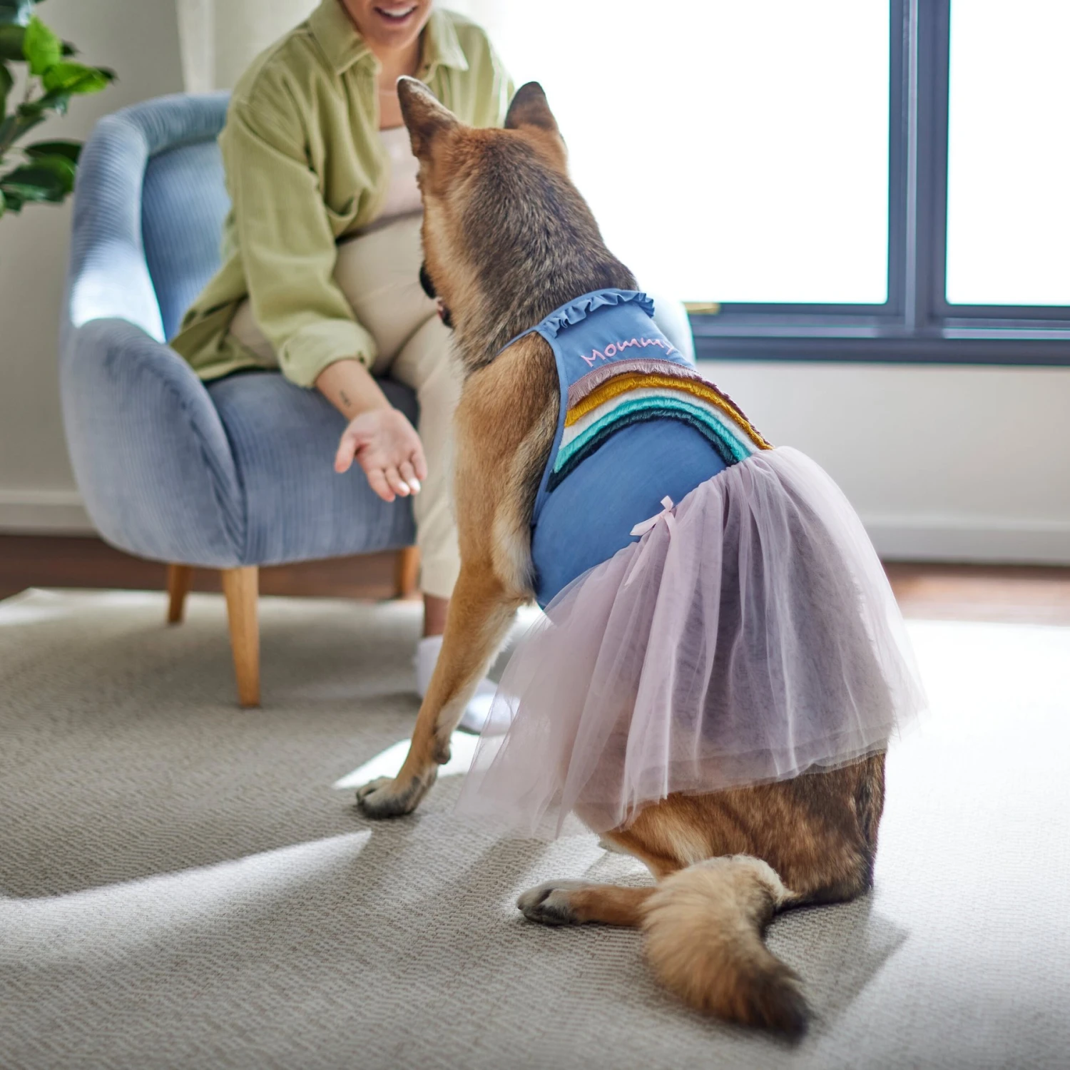 Frisco Rainbow Denim Dog & Cat Dress - Image 6