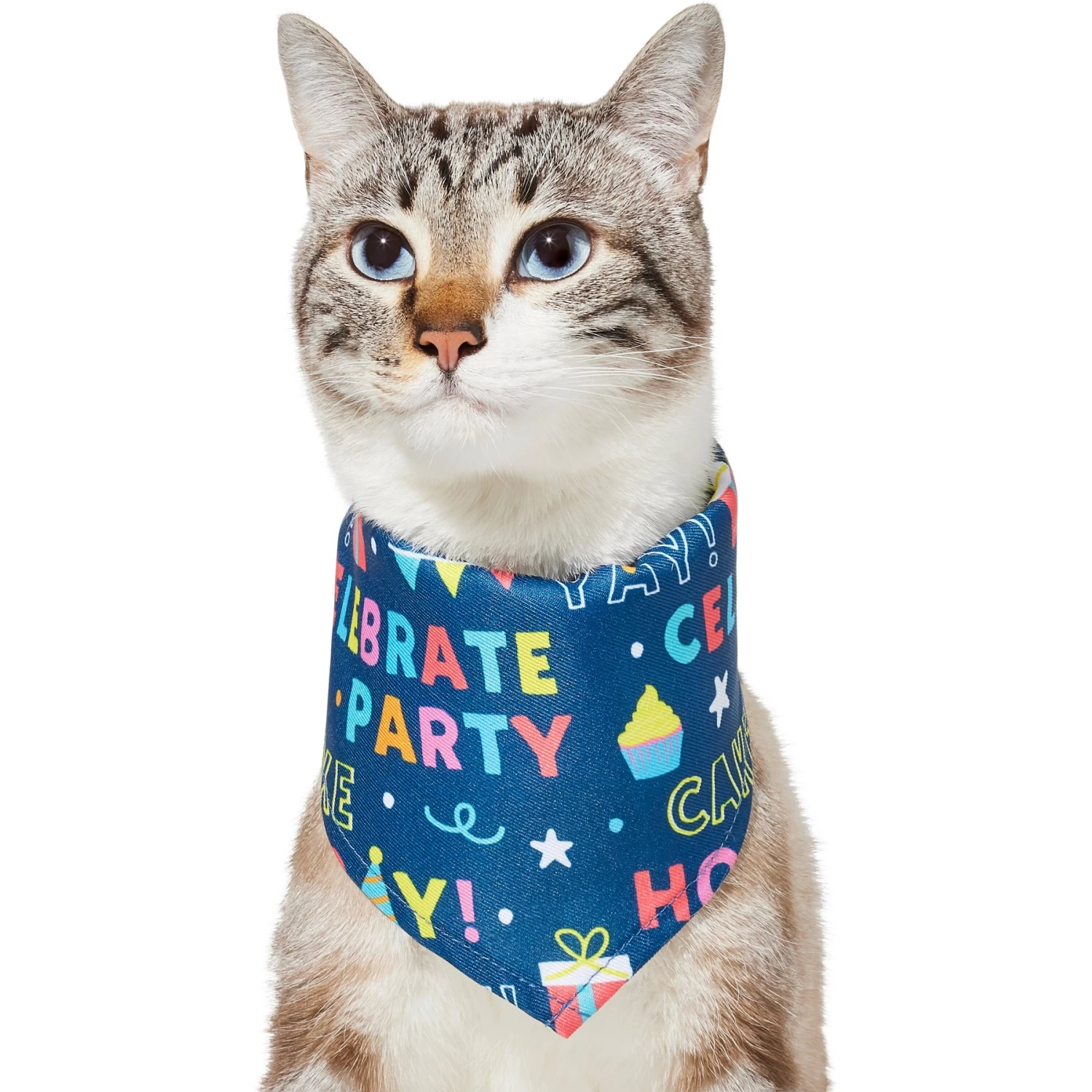 Frisco Celebration Dog & Cat Bandana - Image 3