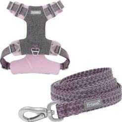 Frisco Outdoor Lightweight Ripstop Nylon Dog Harness & Frisco Outdoor Heathered Nylon Leash
