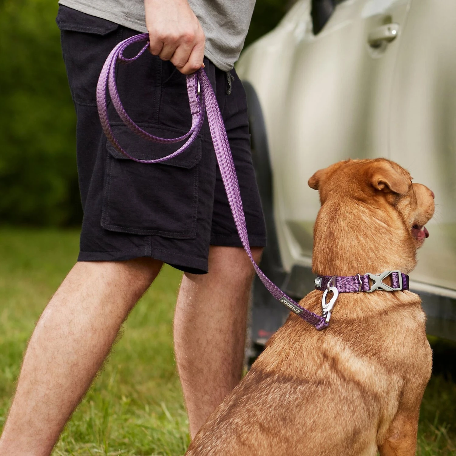 Frisco Outdoor Lightweight Ripstop Nylon Dog Harness & Frisco Outdoor Heathered Nylon Leash - Image 9