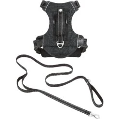 Frisco Outdoor Premium Ripstop Nylon Dog Harness With Pocket & Frisco Outdoor Nylon Reflective Comfort Padded Dog Leash