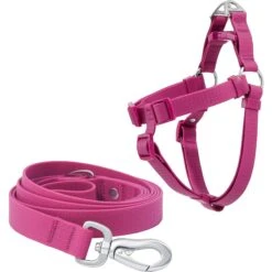 Frisco Outdoor Solid Textured Waterproof Stink Proof PVC Dog Harness & Frisco Outdoor Solid Textured Waterproof Stink Proof PVC Dog Leash