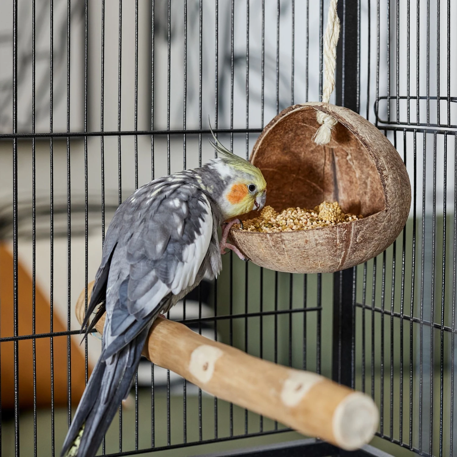 Frisco Coconut Bird Feeder - Image 3