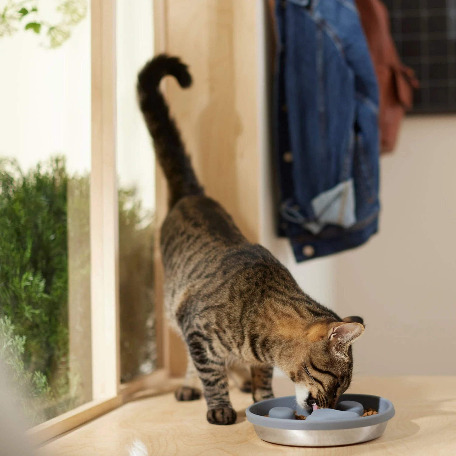 Frisco Silicone Stainless Paw Steel Slow Feeder Dog & Cat Bowl - Image 4