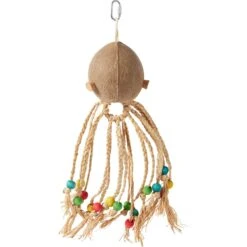 Frisco Coco Loco Bird Toy