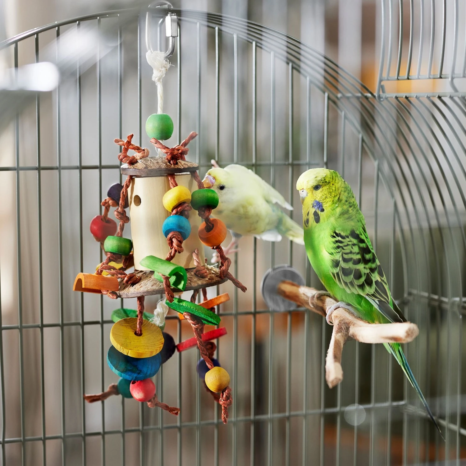 Frisco Knotted Activity Cluster Bird Toy - Image 3