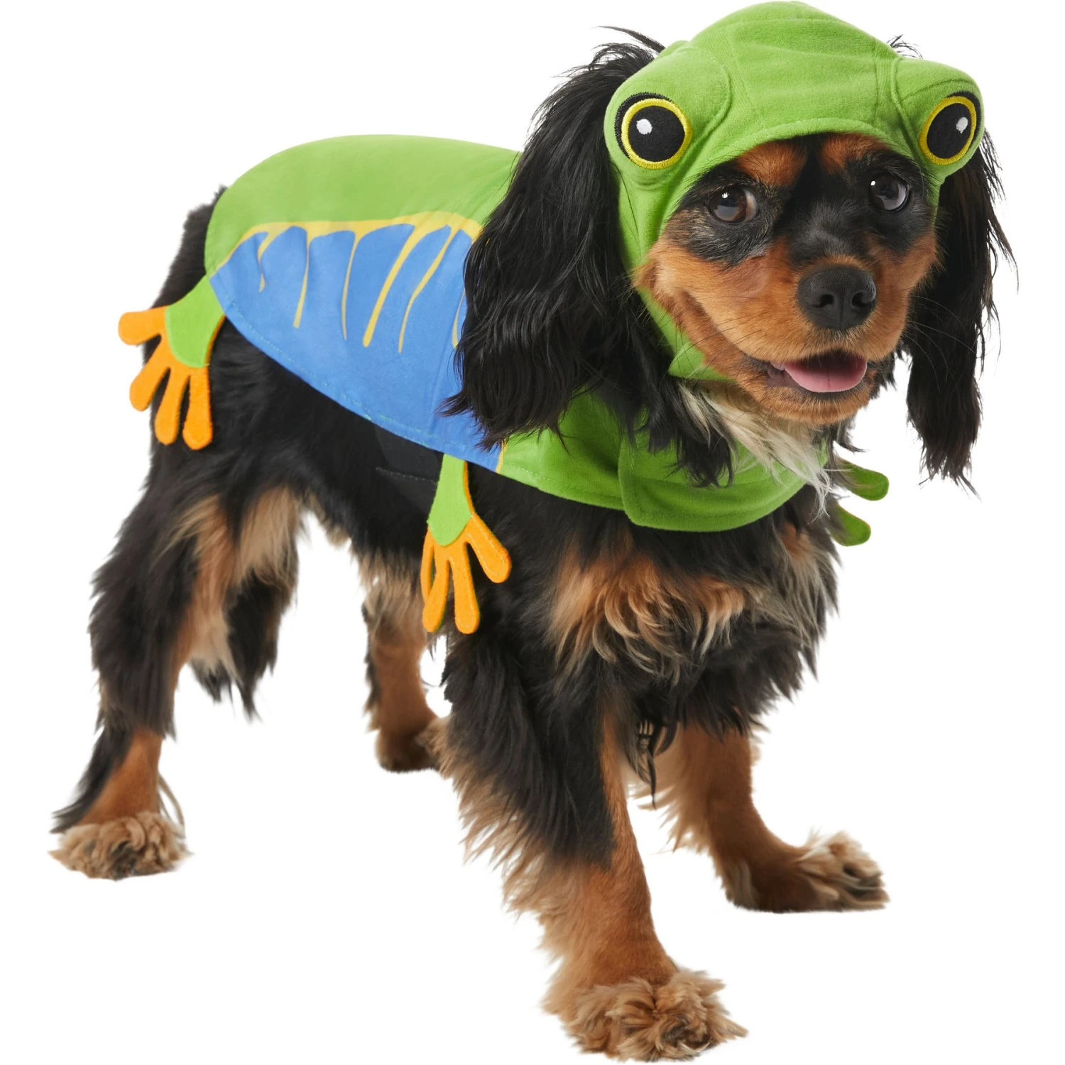 Frisco Frog Dog & Cat Costume