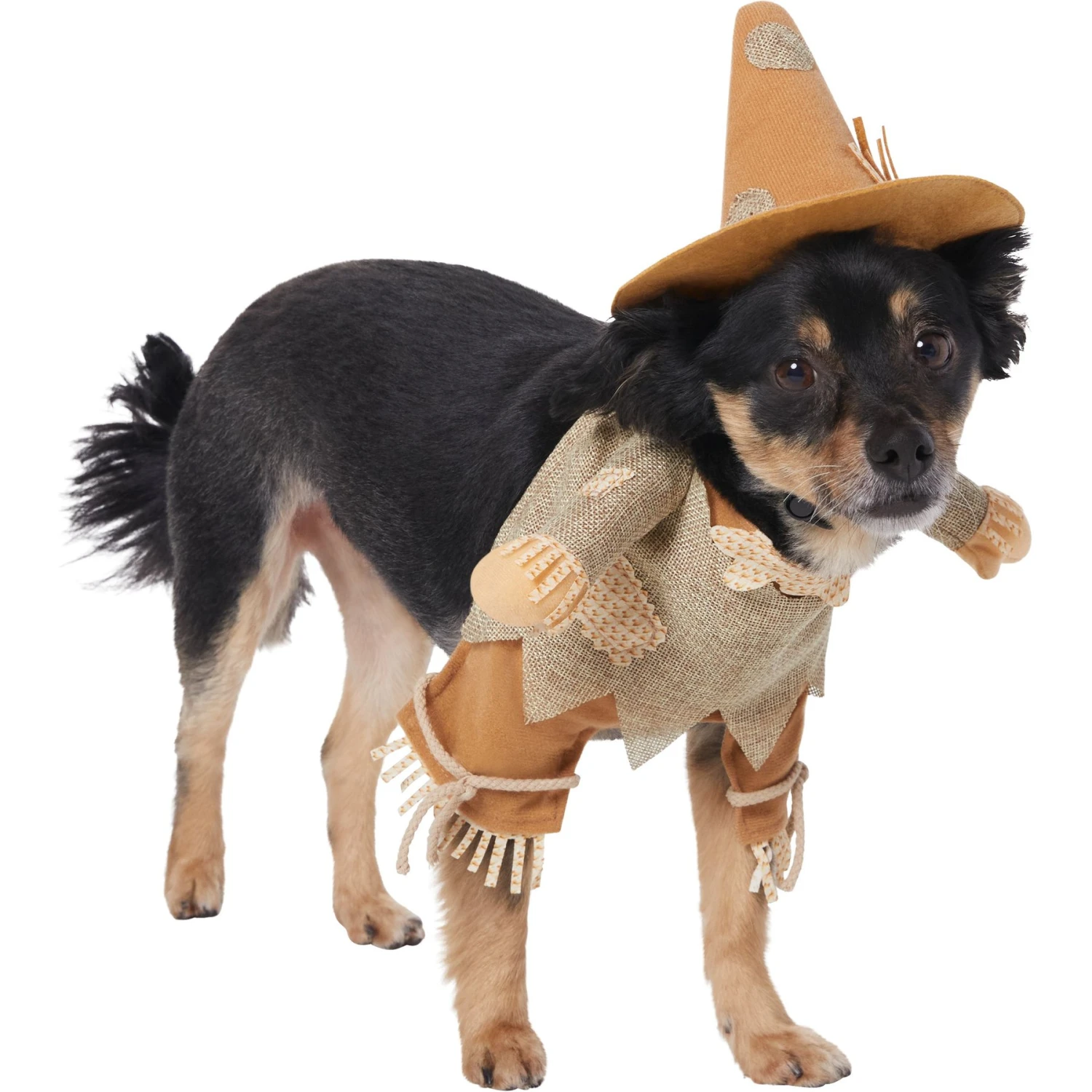 Frisco Front Walking Scarecrow Dog & Cat Costume - Image 4