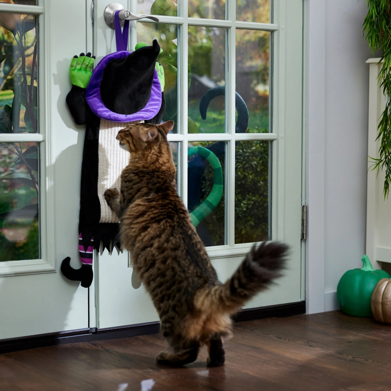 Frisco Halloween Witch Doorknob Hanger Cat Toy With Catnip - Image 4
