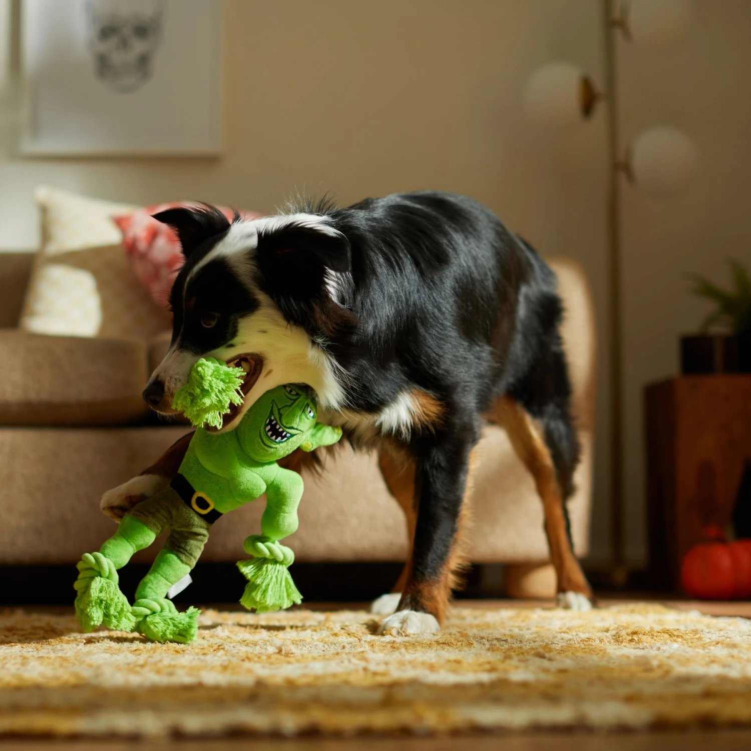 Frisco Halloween Goblin Plush With Rope Squeaky Dog Toy - Image 3